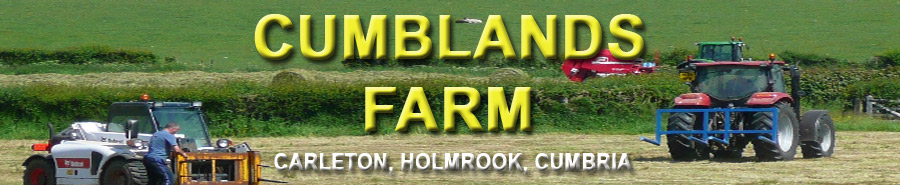Cumblands Farm Carlton Holmrook Cumbria